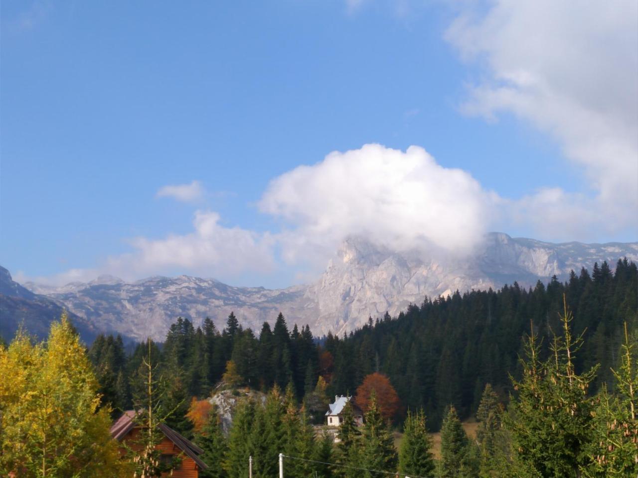 Apartment Durmitor Žabljak Exterior foto