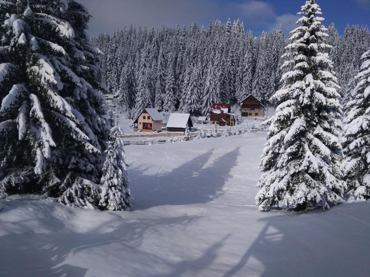 Apartment Durmitor Žabljak Exterior foto